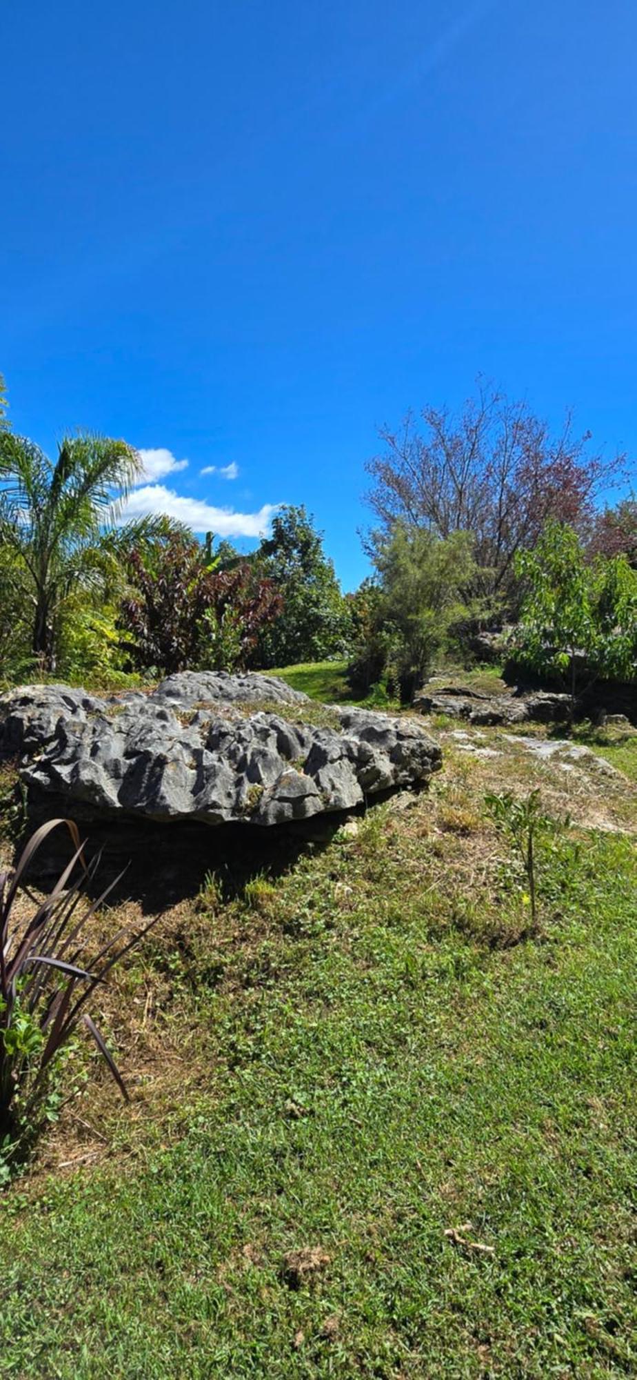 The Rocks Chalets Takaka Buitenkant foto